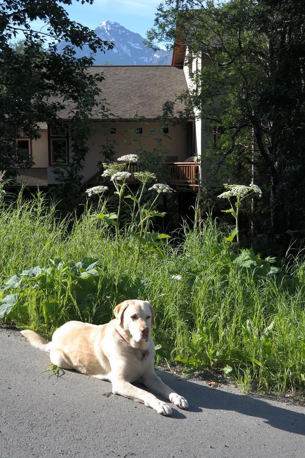 Eagle Peak Guesthouse Eagle River Buitenkant foto